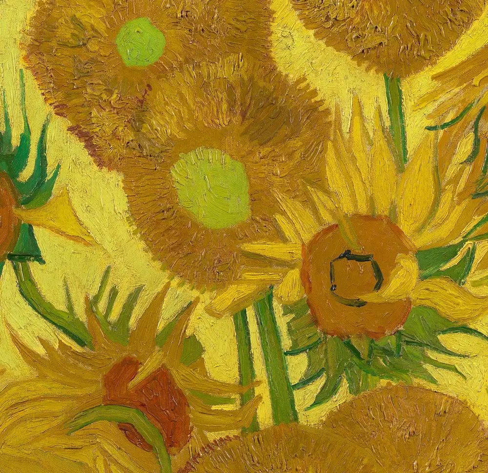 Detail of Van Gogh's Sunflowers showing ridged impasto in the seed heads and petals painted in single loaded strokes.